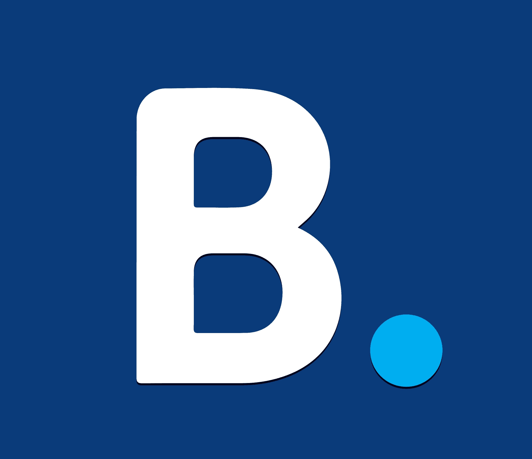 Booking.com Logo